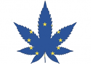 Európsky parlament sa vyslovil za rozsiahlejšie využívanie konope a marihuany v zdravotníctve