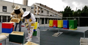 Na streche hotela FIS začali chovať včely – žiadalo by sa viac takých hotelov!